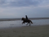 Dreyri im Galopp